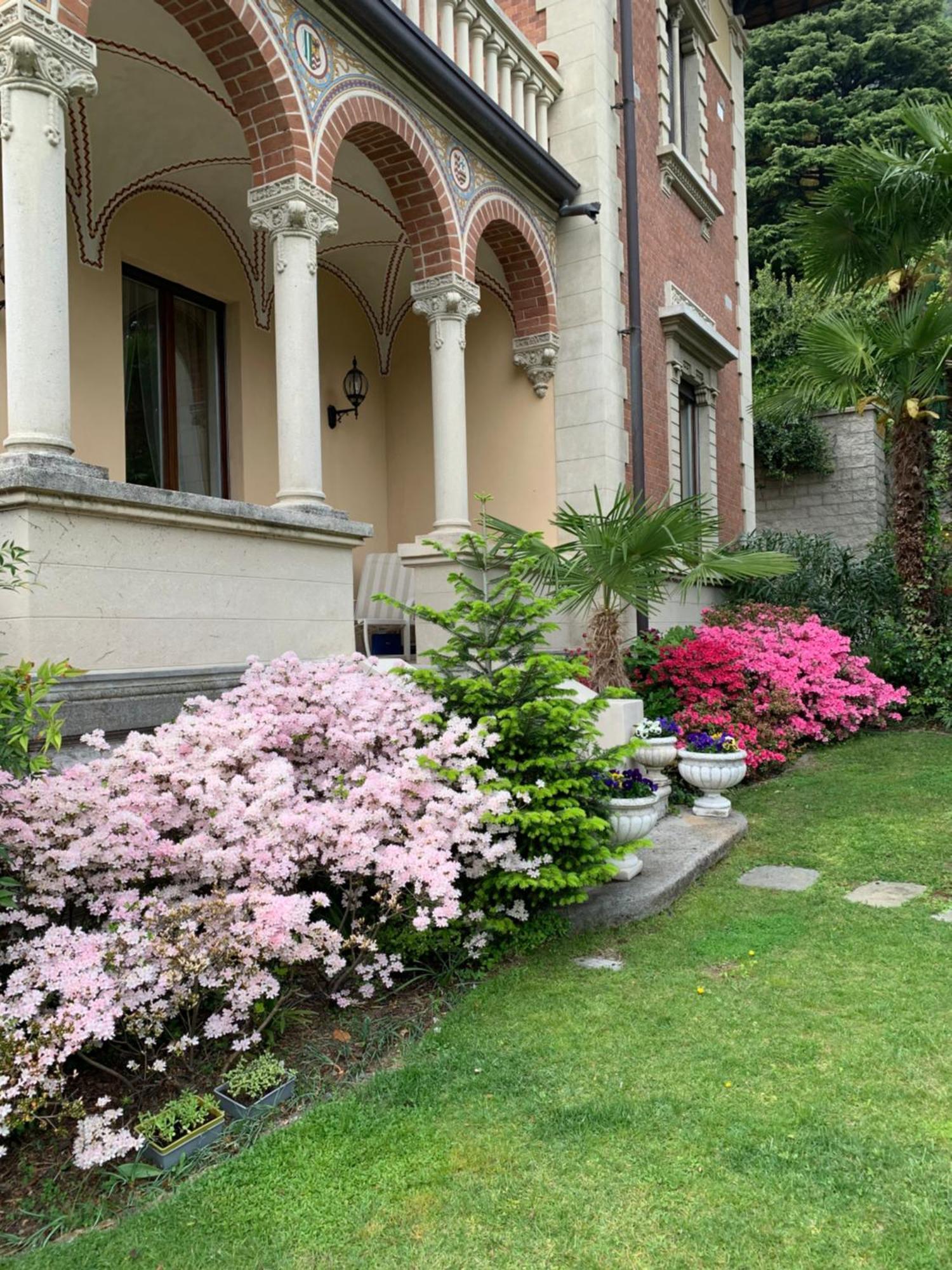 Villa Castiglioni Luxury Apartment Laglio Exterior photo